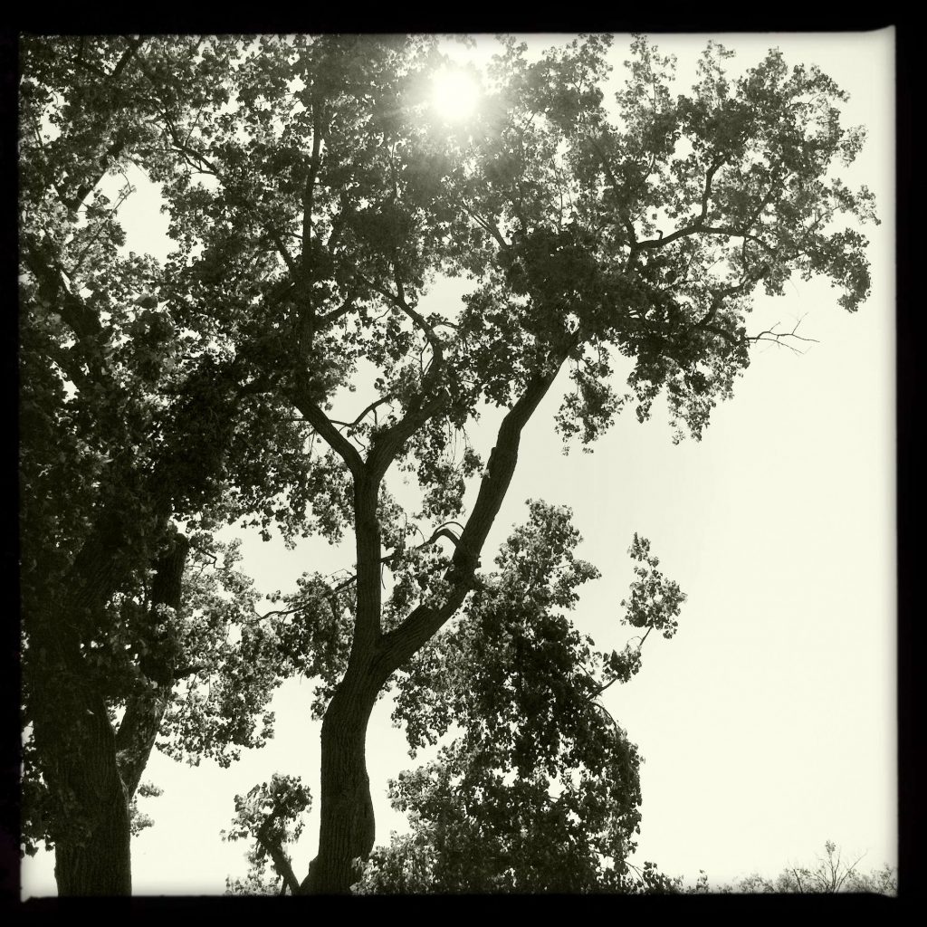 Appomattox-Court-House_10