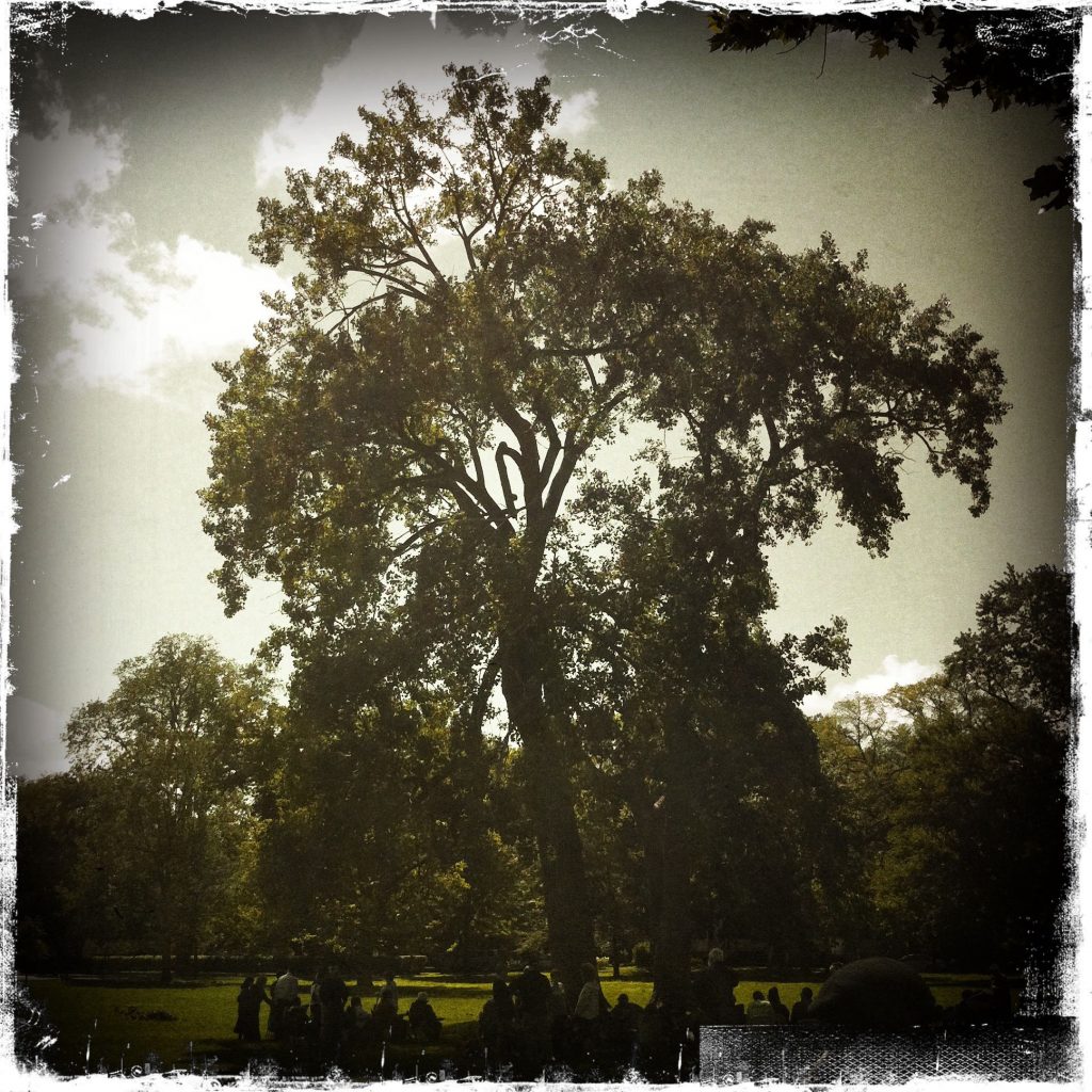 Appomattox-Court-House_12