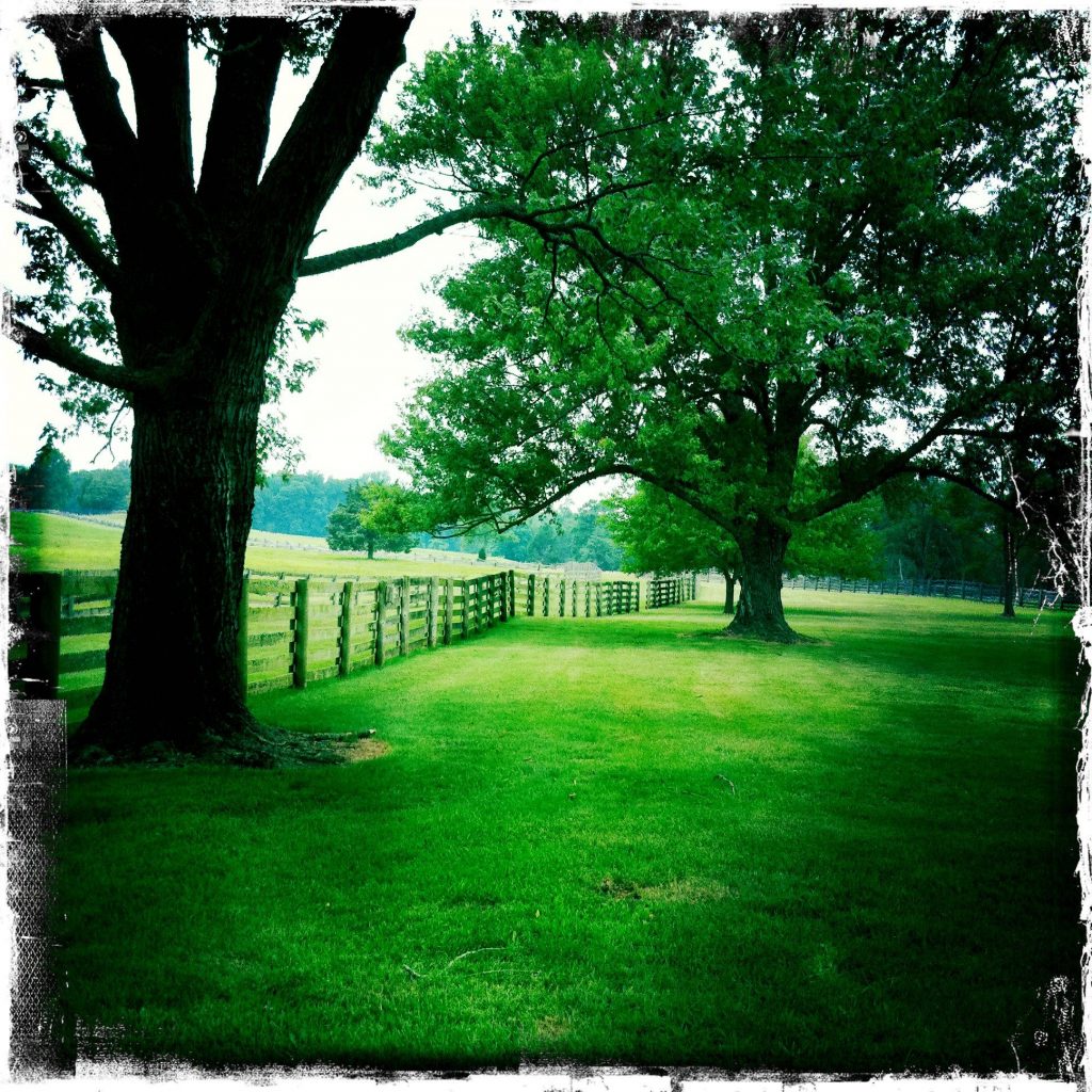 Appomattox-Court-House_14