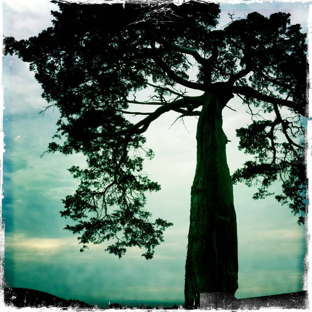 Appomattox-Court-House_15