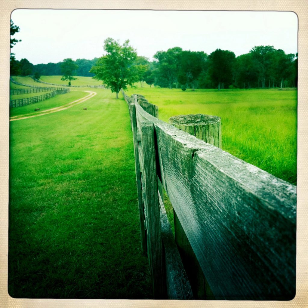Appomattox-Court-House_16