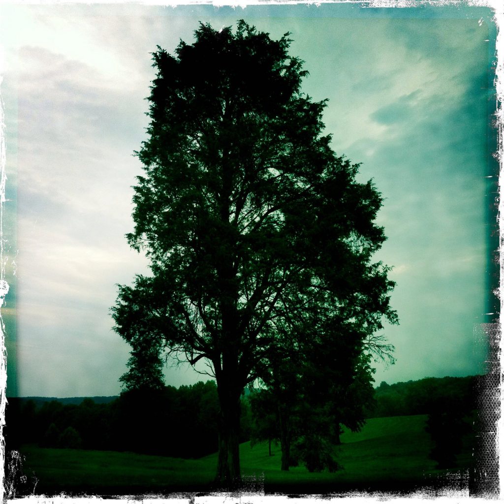 Appomattox-Court-House_18