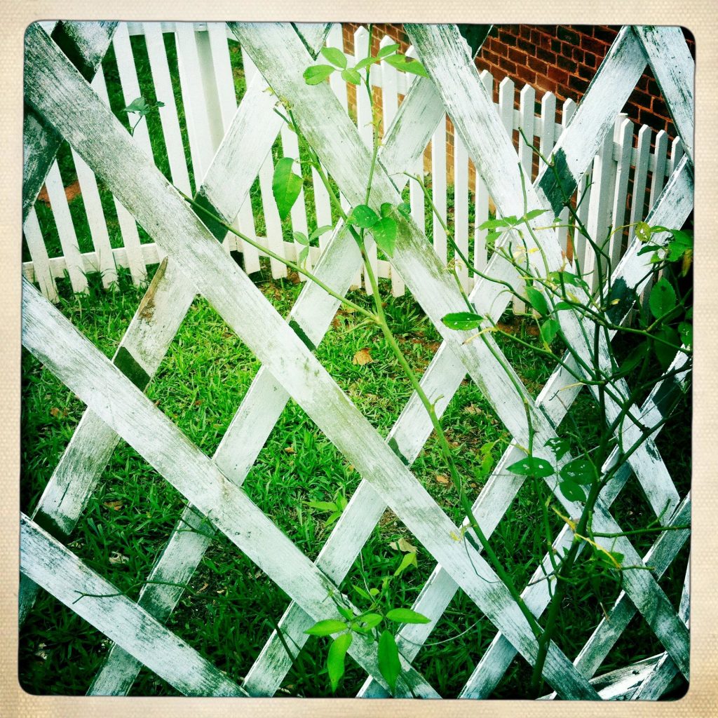 Appomattox-Court-House_19