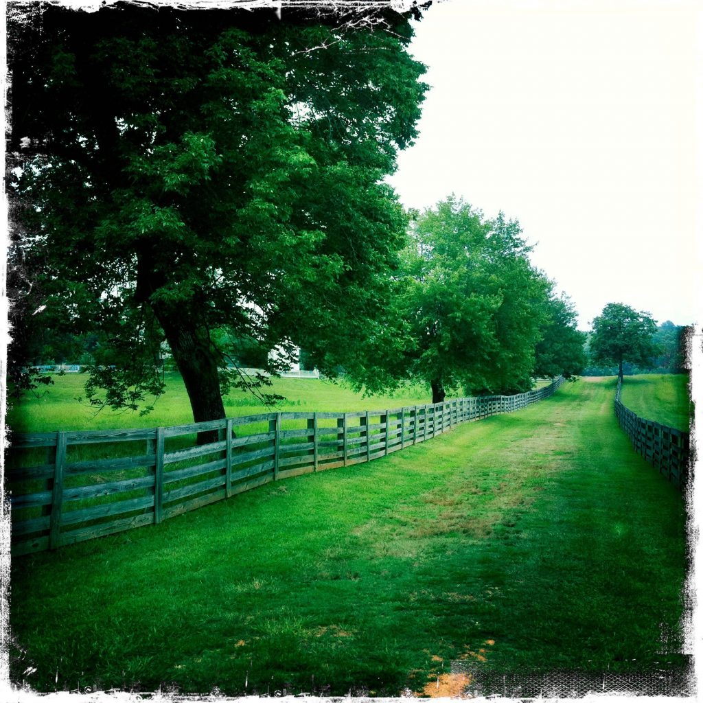 Appomattox-Court-House_4