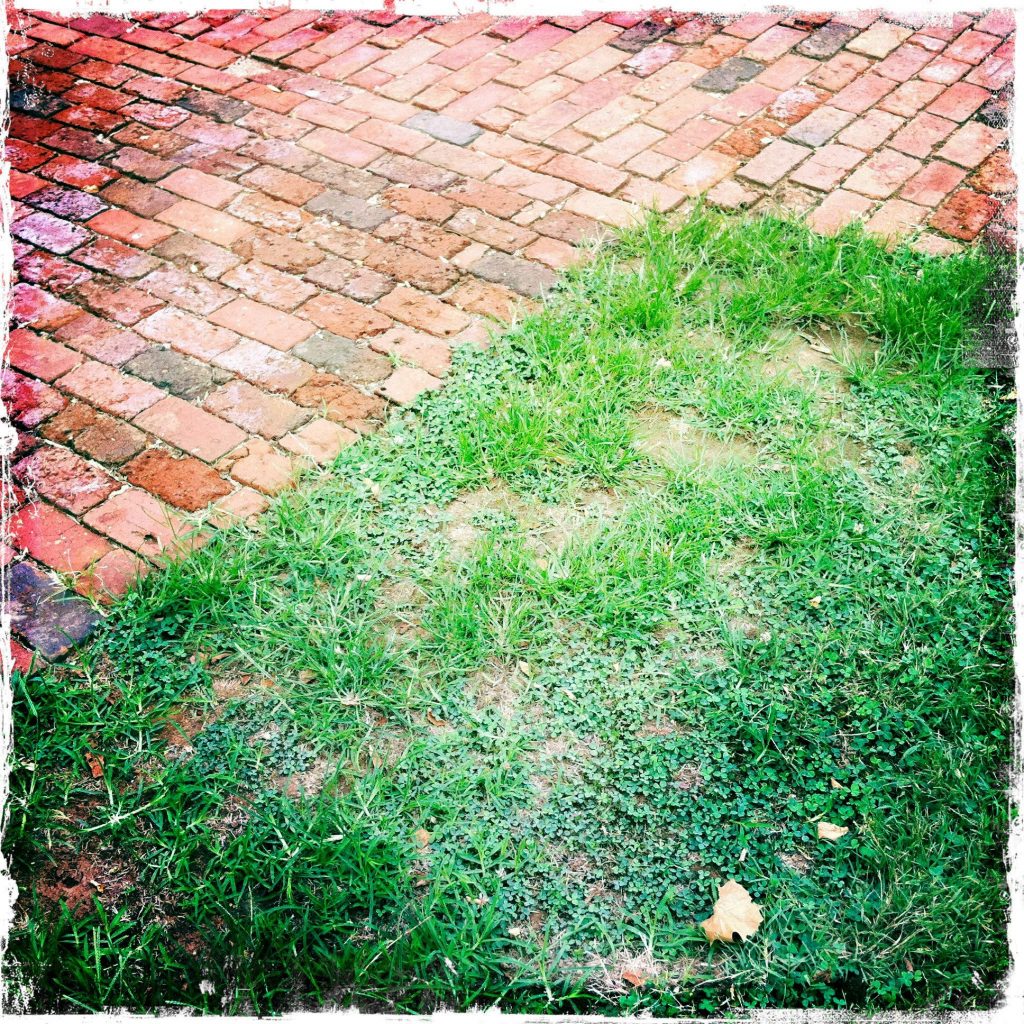 Appomattox-Court-House_8